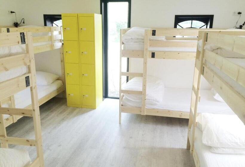 Кровать в Общей Комнате, The Black Sheep Hostel