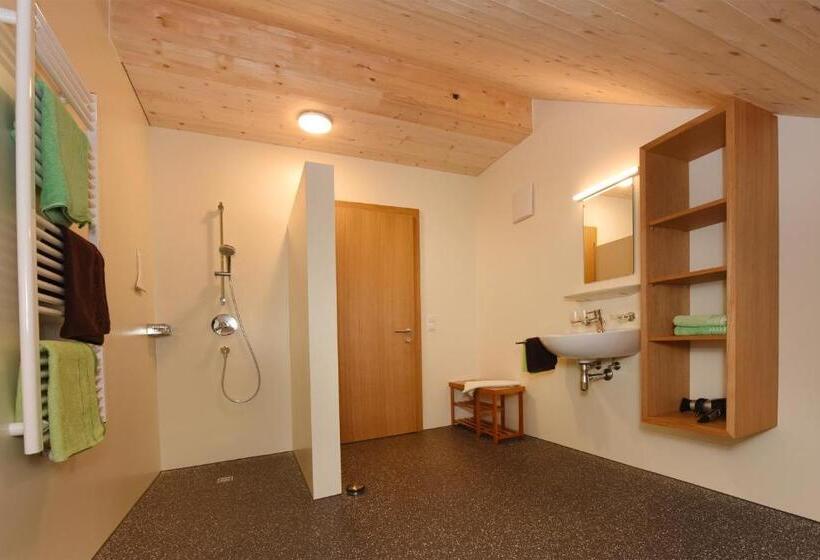 Апартаменты 2 Спальни, Bauernhof Dünser