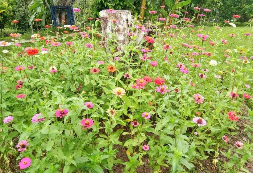 기본룸, Ban Suan Sukjai Mae Sariang