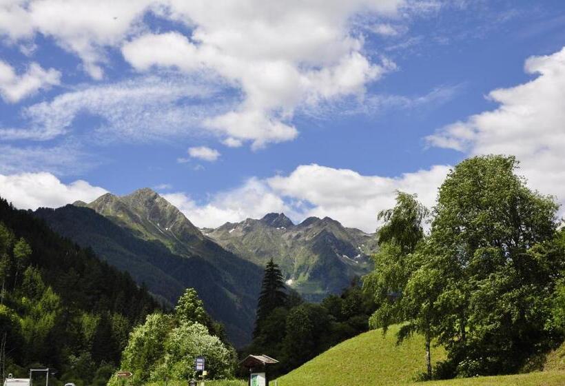 Номер Стандарт Индивидуальный с Балконом, Garni Schwarzenstein