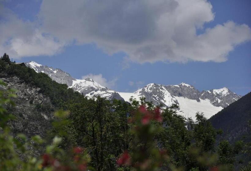 Номер Стандарт Индивидуальный с Балконом, Garni Schwarzenstein