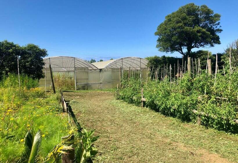Апартаменты 1 Спальня Вид на Сад, Quinta Dos Sabores Farm Houses