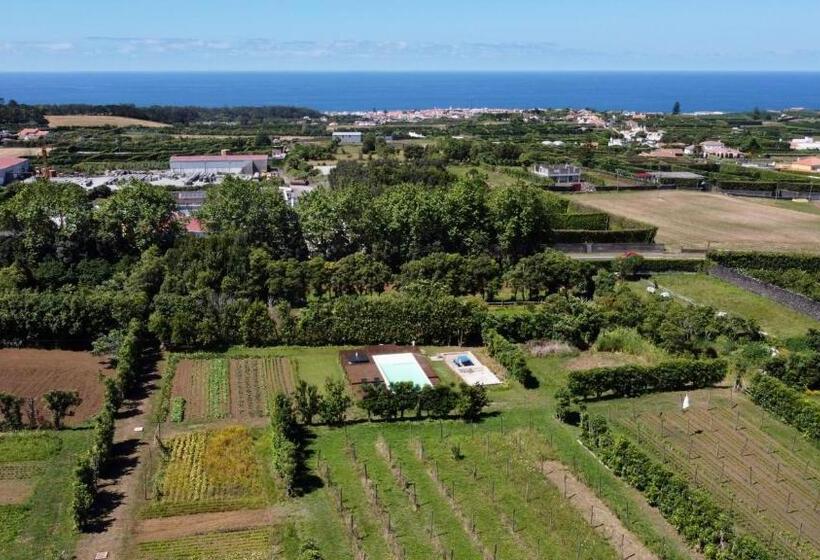 Апартаменты 1 Спальня Вид на Море, Quinta Dos Sabores Farm Houses