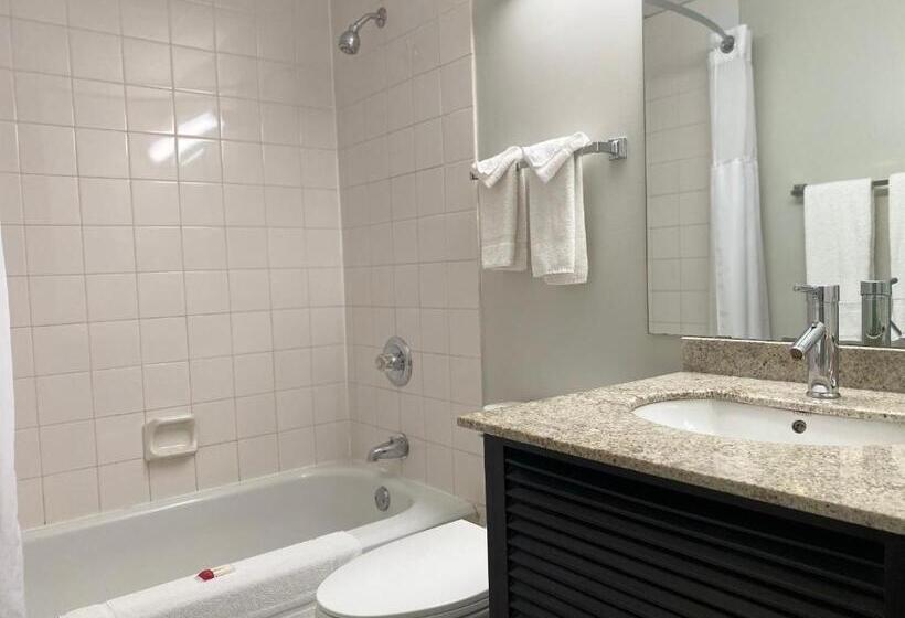 Номер Стандарт, Travelodge By Wyndham Miramichi New Brunswick