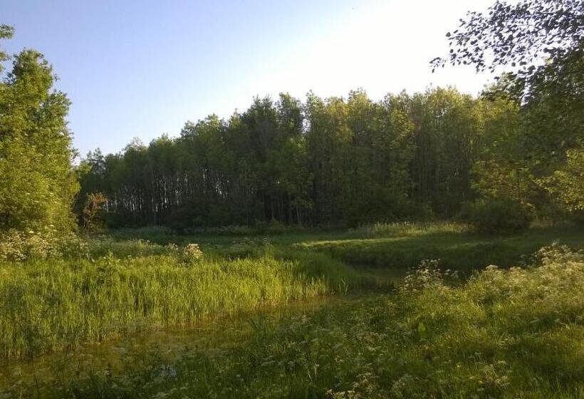 Апартаменты 1 Спальня Нижний Этаж, Bed & Breakfast Boszicht Leeuwarden