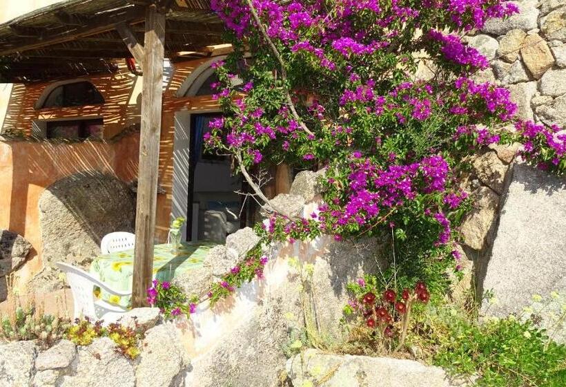 Апартаменты Deluxe 1 Спальня, Locanda Domus De Vida Turismo Rurale