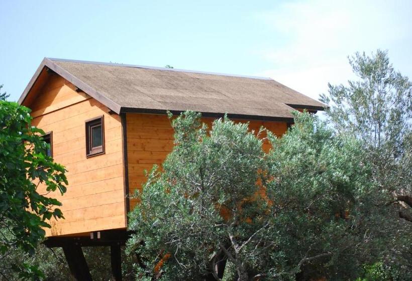 Бунгало Superior, Palazzo Conforti Tree House Resort