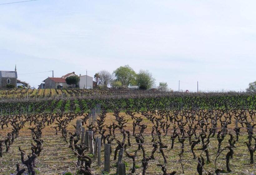 Апартаменты 1 Спальня, Chambres D Hôtes Vignes Et Loire