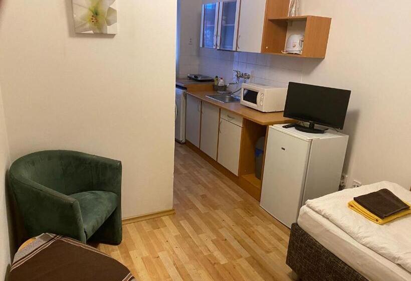 스탠다드 스튜디오, Apartmány   Penzion Smetanka