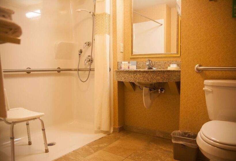 Номер Стандарт Адаптированный для Инвалидов, Hampton Inn Mountain Home
