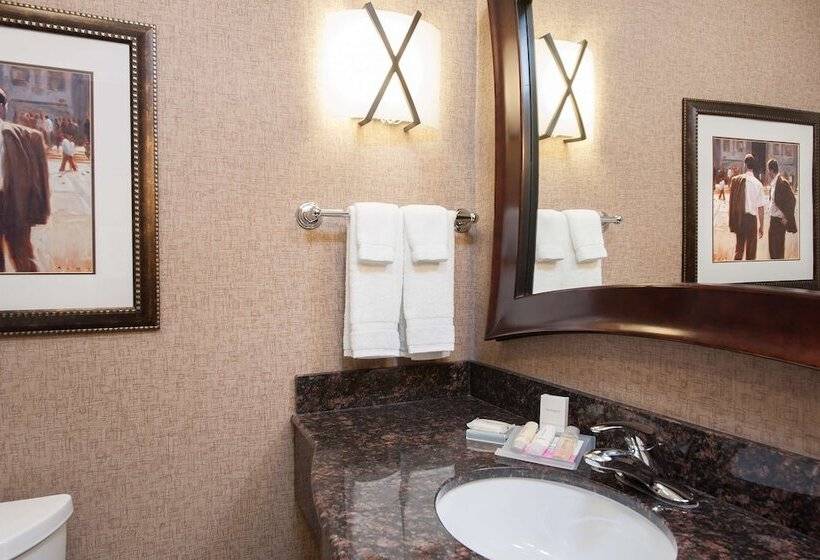 Standard Værelse Tilpasset til Handicappede, Hilton Garden Inn Indianapolis South/greenwood