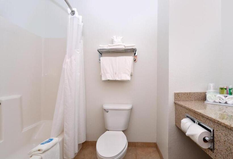 Стандартный Номер Кровать Кинг, Holiday Inn Express Hotel & Suites Omaha West, An Ihg