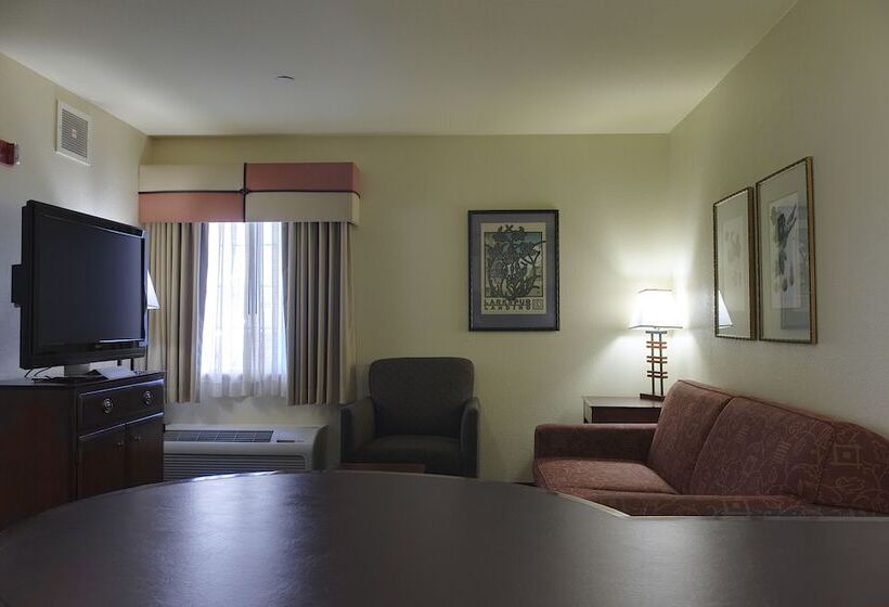 Люкс Адаптированный для Инвалидов, Larkspur Landing Extended Stay Suites Hillsboro