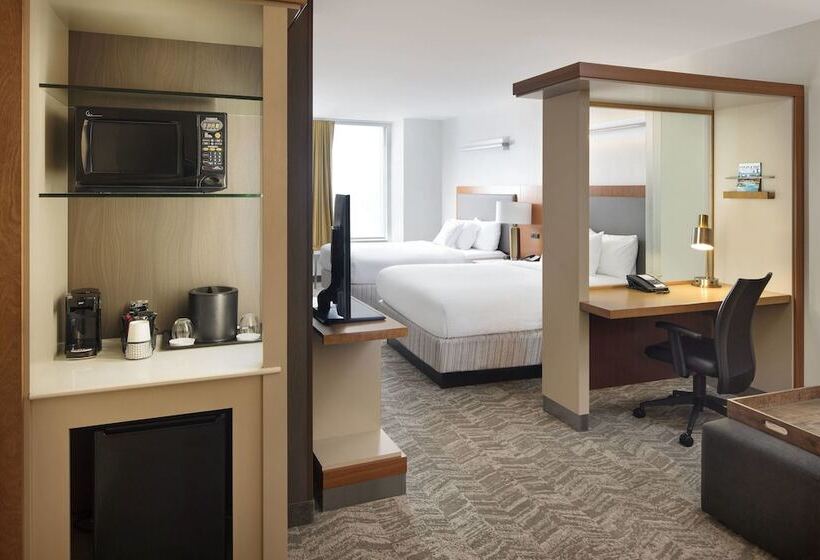 Standaard Studio, Springhill Suites Indianapolis Downtown