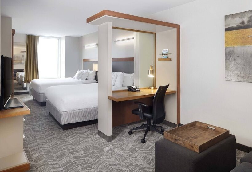 Standaard Studio met Uitzicht, Springhill Suites Indianapolis Downtown