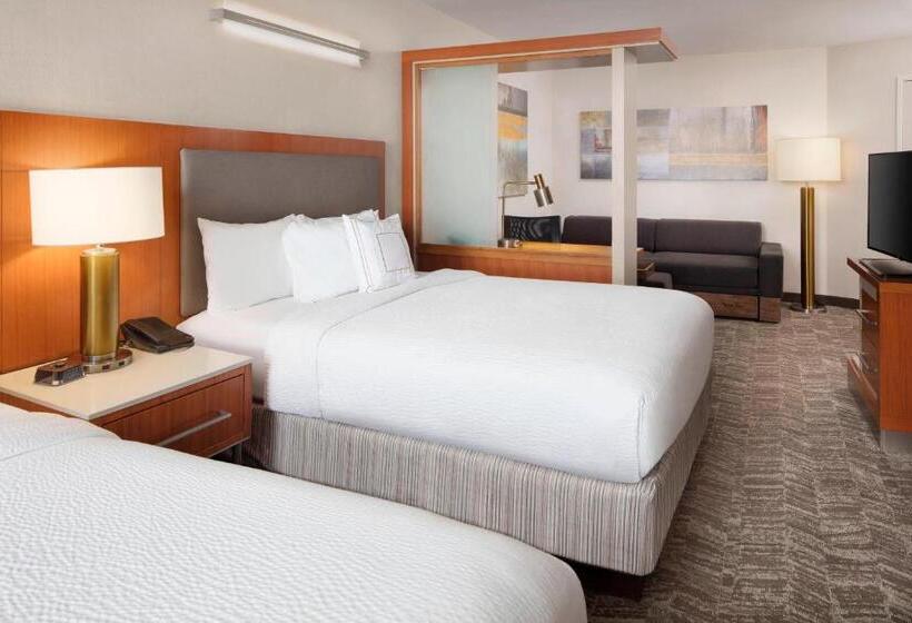 Standaard Studio, Springhill Suites Indianapolis Downtown