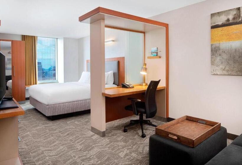 Standaard Studio met Kingsize Bed, Springhill Suites Indianapolis Downtown