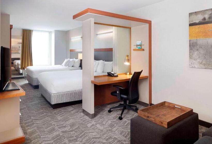 Standaard Studio met Uitzicht, Springhill Suites Indianapolis Downtown