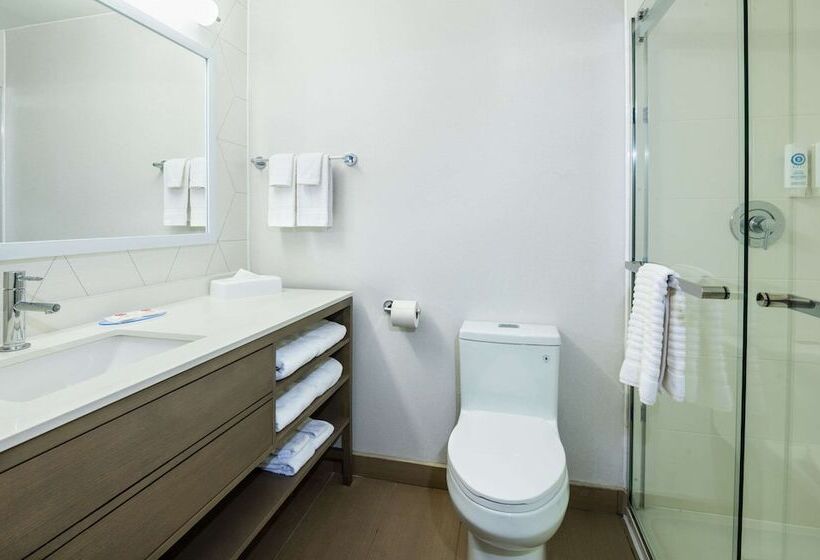 带2个双人床的标准工作室, Comfort Inn & Suites
