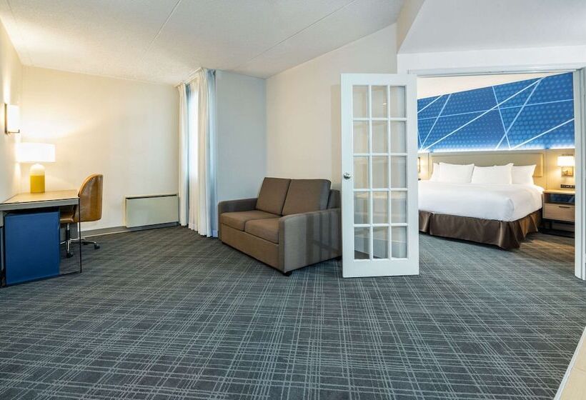 套房, Comfort Inn & Suites