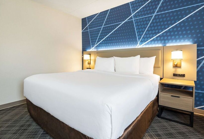 套房, Comfort Inn & Suites