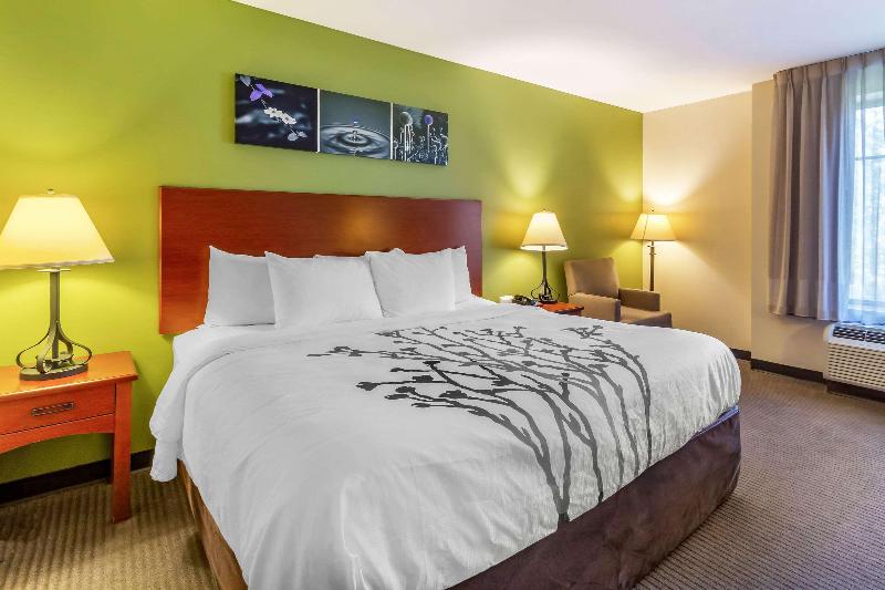 キングサイズベッドのスタンダードルーム, Sleep Inn & Suites Jacksonville West