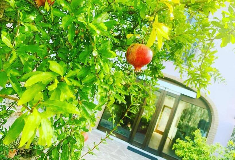 Апартаменты 2 Спальни, Residenza Locci  Rooms & Apartments