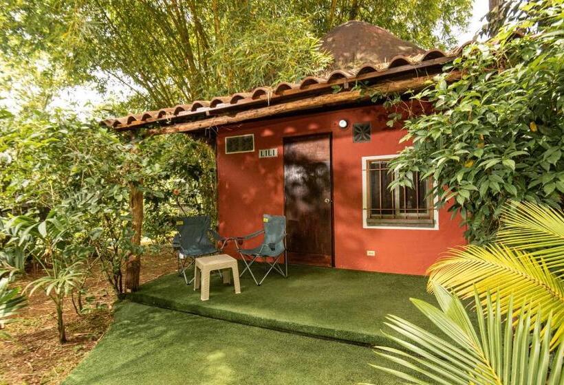 Бунгало Стандарт, Monkey Lodge Panama