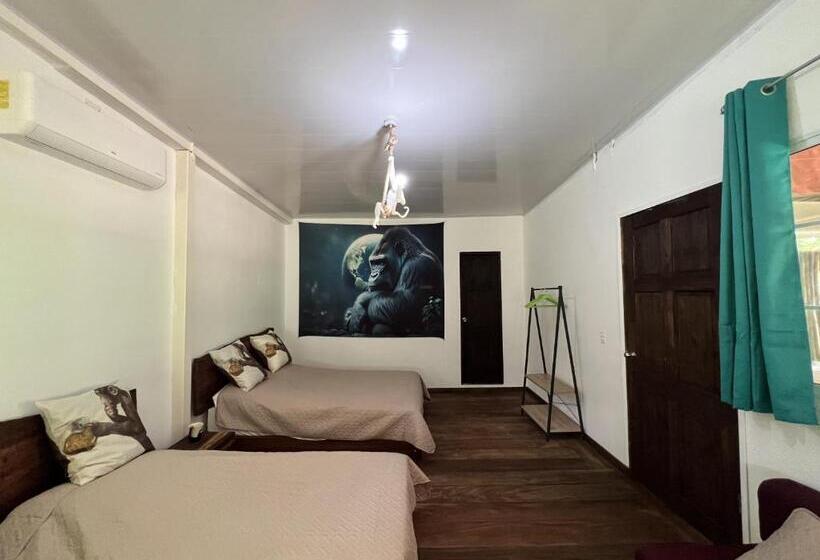 Бунгало Deluxe, Monkey Lodge Panama