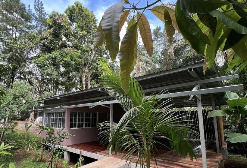 Бунгало Deluxe, Monkey Lodge Panama