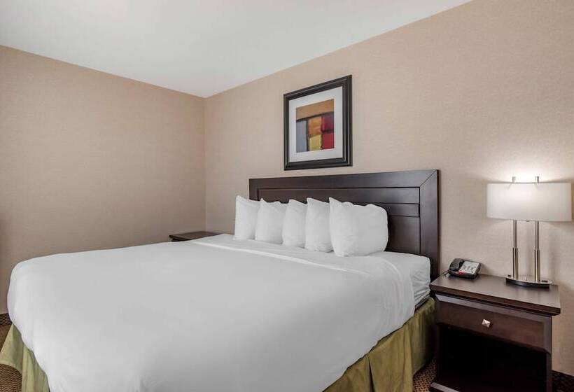 Люкс, Best Western Bonnyville Inn & Suites