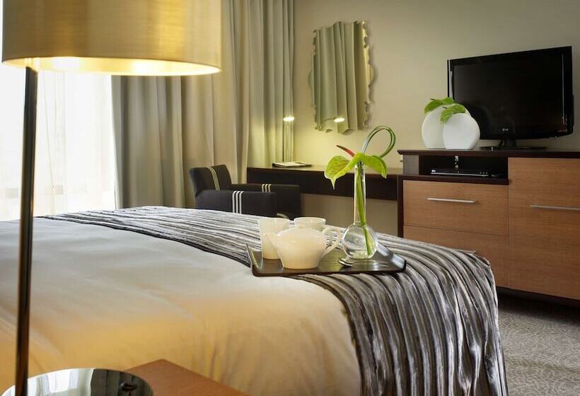 Номер Стандарт, Southern Sun Hyde Park Sandton