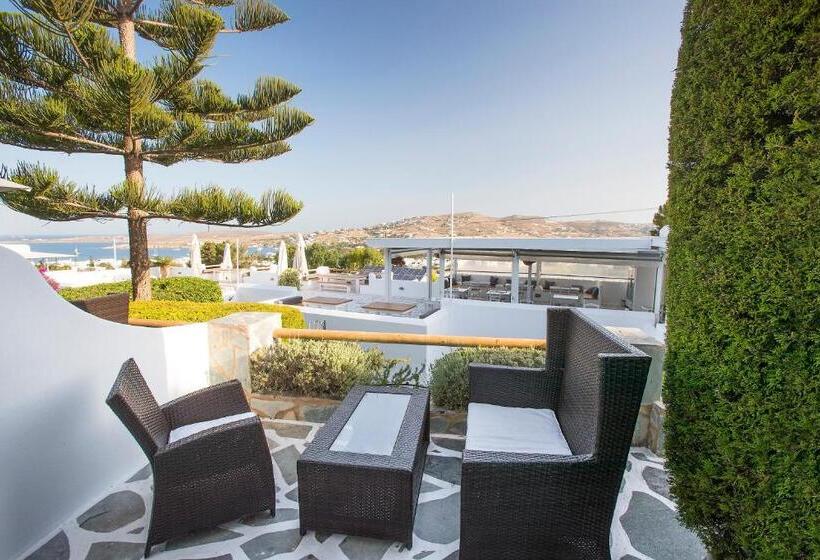 수피리어 룸, Paros Palace