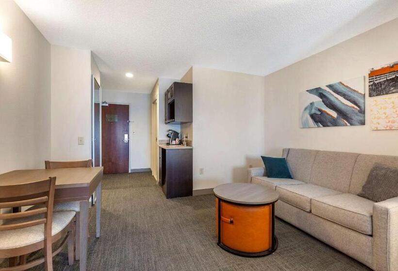 Люкс Кровать Кинг, Comfort Inn & Suites Chestertown