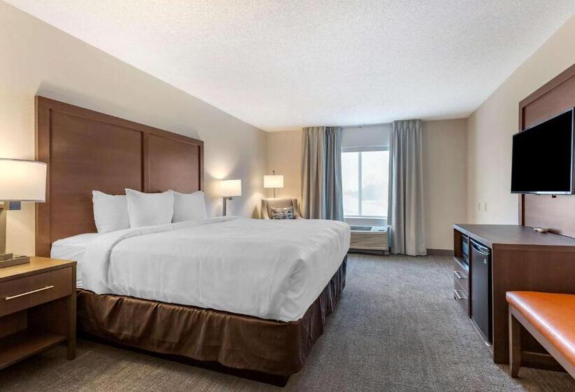 장애인을 위한 킹사이즈 침대 스탠다드 룸, Comfort Inn & Suites Chestertown