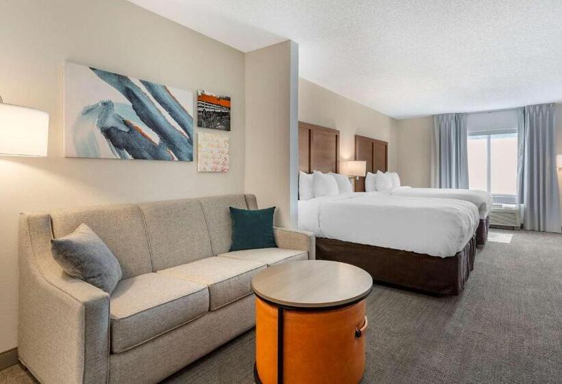 장애인을 위한 스위트, Comfort Inn & Suites Chestertown