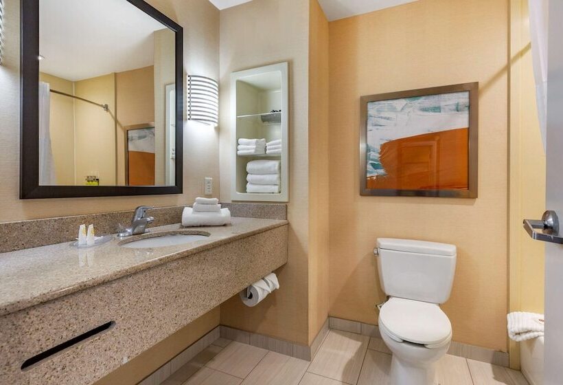 Люкс Адаптированный для Инвалидов, Comfort Inn & Suites Chestertown