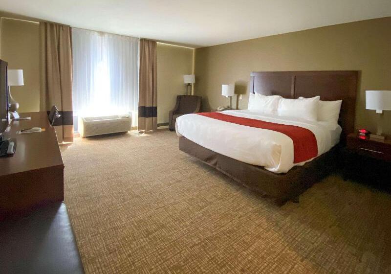 Номер Стандарт Кровать Кинг Адаптированный для Инвалидов, Comfort Inn & Suites
