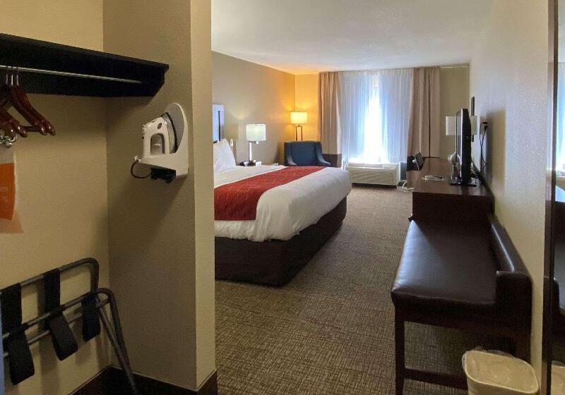 스탠다드 룸 킹사이즈 침대, Comfort Inn & Suites
