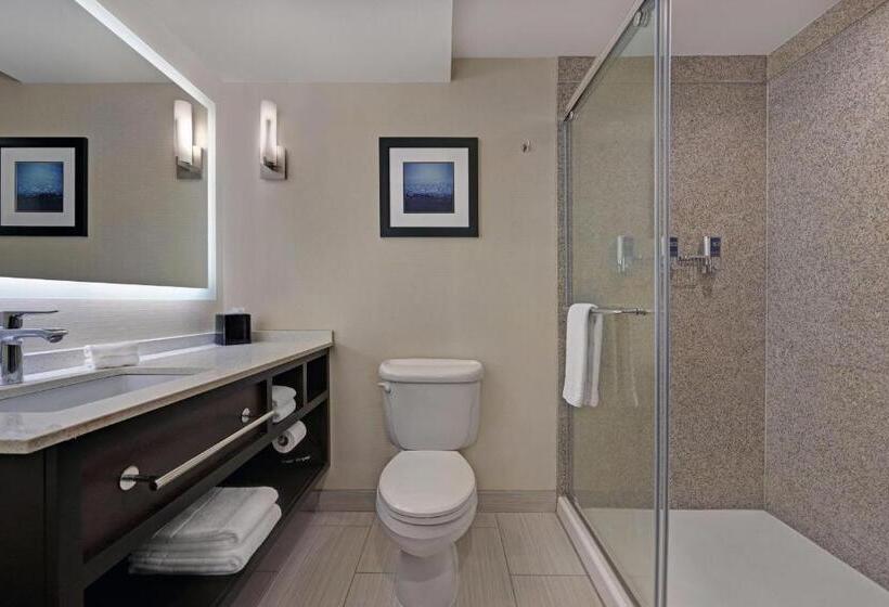 Suite Letto King, Four Points By Sheraton Birmingham Homewood