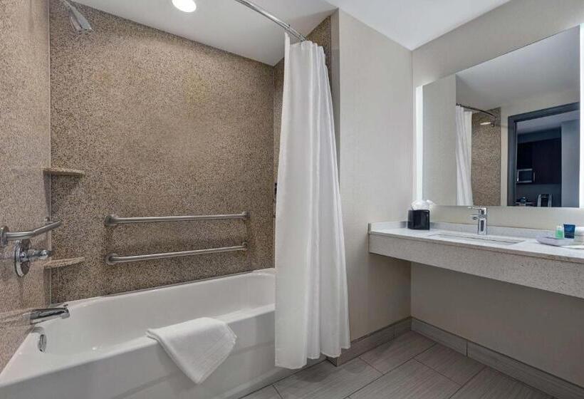 Suite Letto King, Four Points By Sheraton Birmingham Homewood