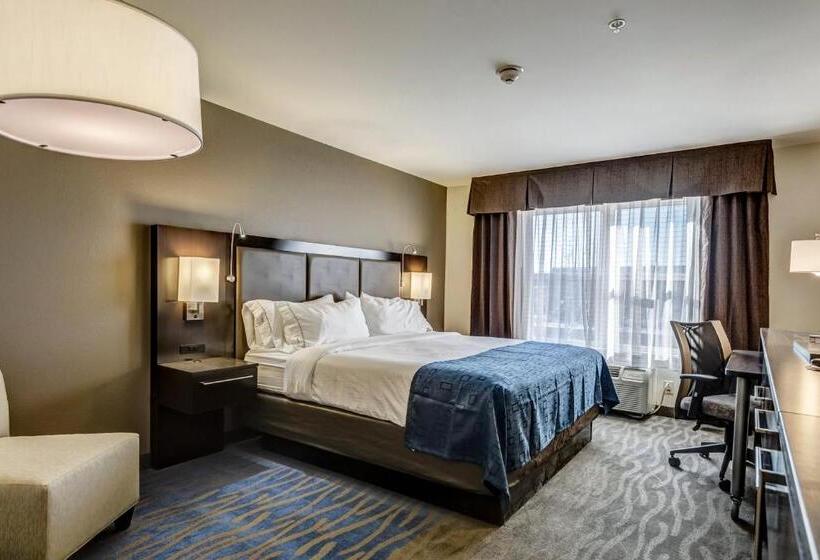 Стандартный Номер Кровать Кинг, Holiday Inn Express Hotel & Suites St. Louis West O Fallon, An Ihg