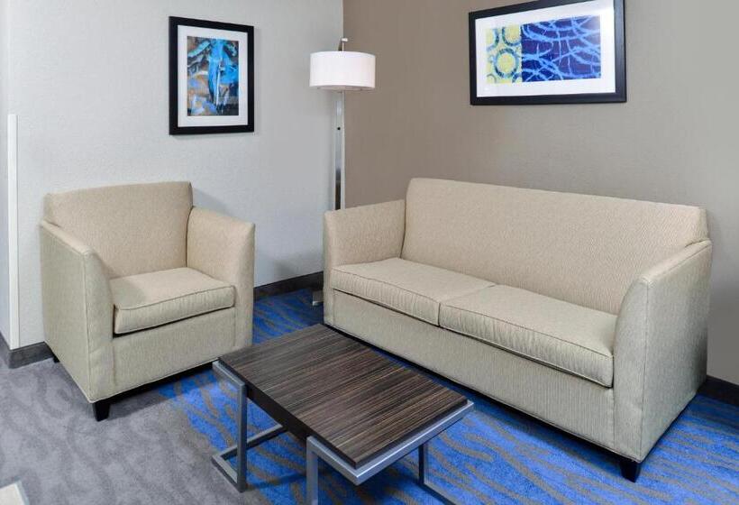 Люкс Кровать Кинг, Holiday Inn Express Hotel & Suites St. Louis West O Fallon, An Ihg