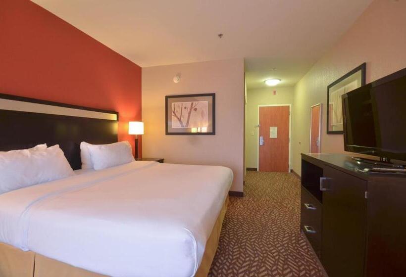 Стандартный Номер Кровать Кинг, Holiday Inn Express & Suites Pine Bluff/pines Mall, An Ihg