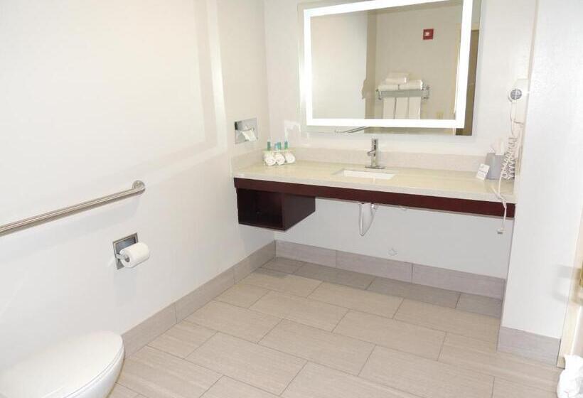 장애인을 위한 킹사이즈 침대 스탠다드 룸, Holiday Inn Express Trussville, An Ihg