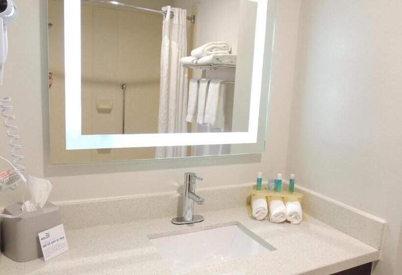 스탠다드 룸 킹사이즈 침대, Holiday Inn Express Trussville, An Ihg