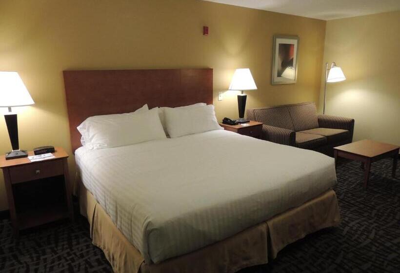 스탠다드 룸 킹사이즈 침대, Holiday Inn Express Trussville, An Ihg