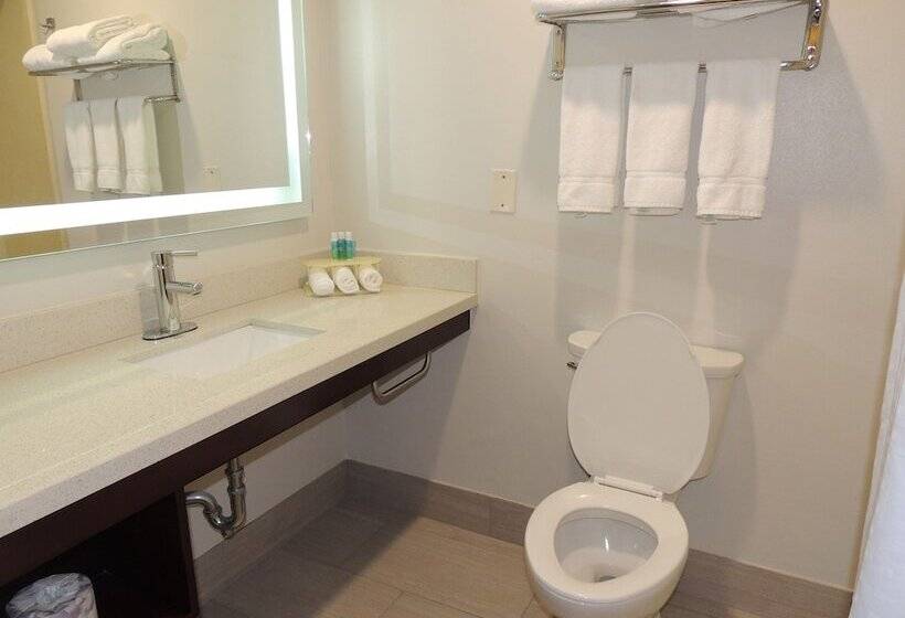 스위트, Holiday Inn Express Trussville, An Ihg
