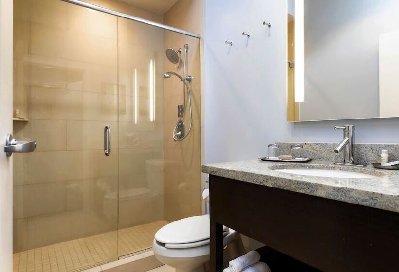 스탠다드 룸, Indigo Baton Rouge Downtown, An Ihg