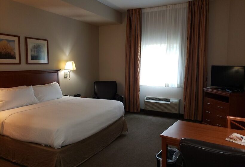 Standaard Studio, Candlewood Suites Murfreesboro, An Ihg